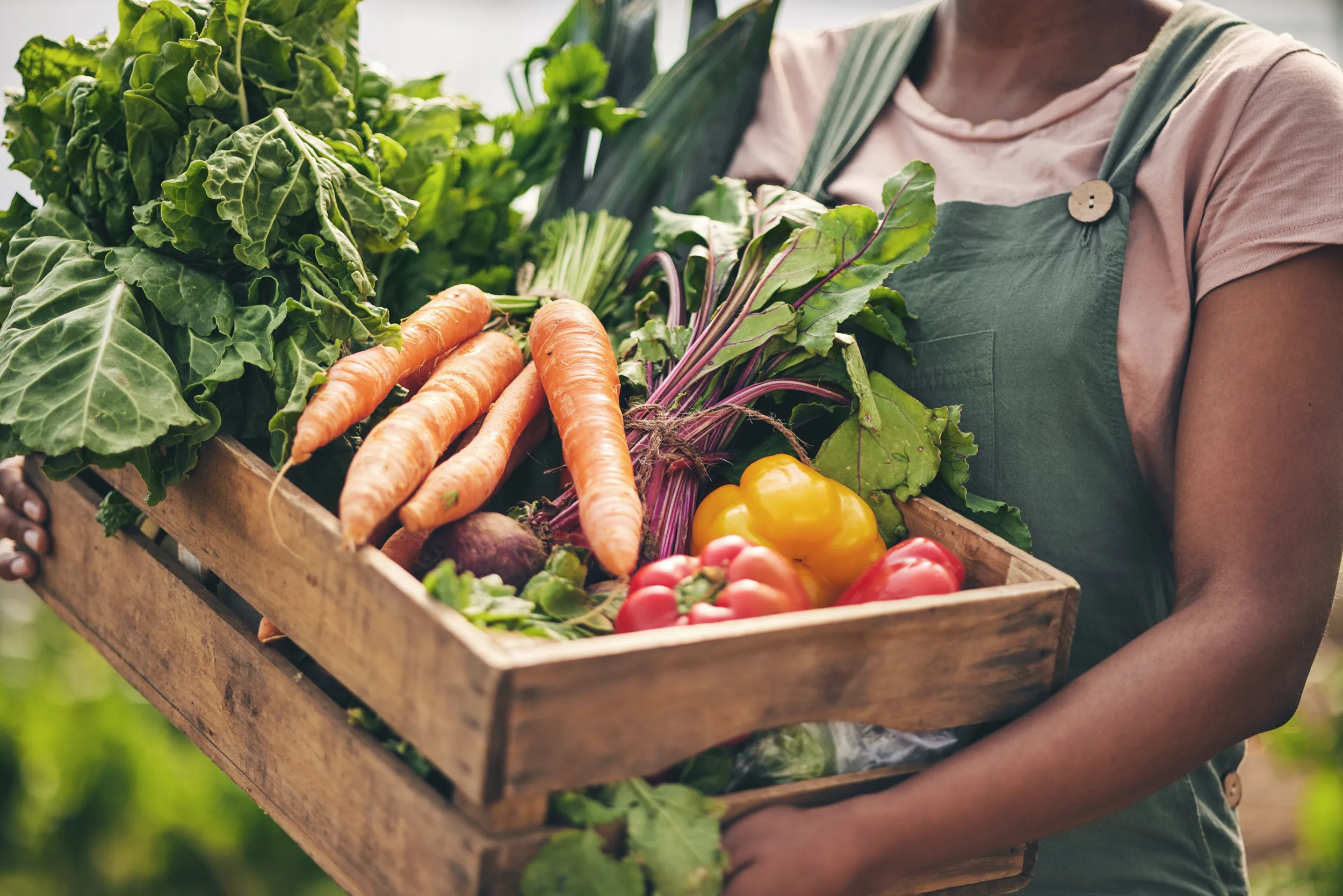 aa 2024 man holding basket of vegetables